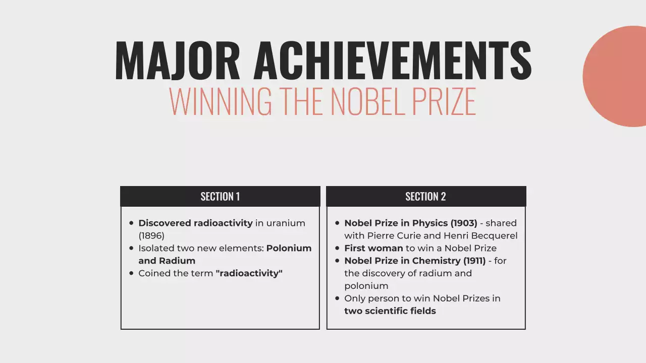 Grey Professional Biography Presentation