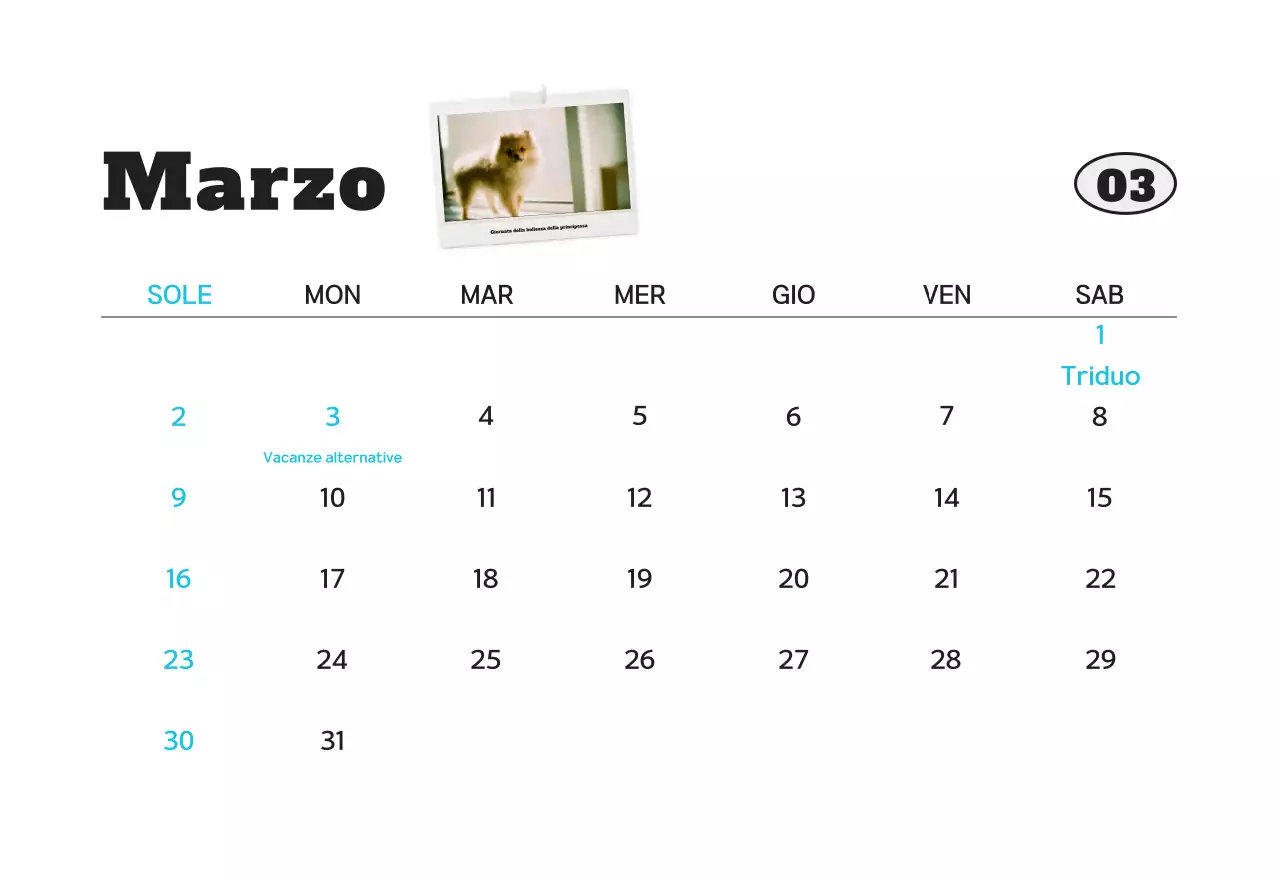 Calendario fotografico bianco per animali domestici puliti