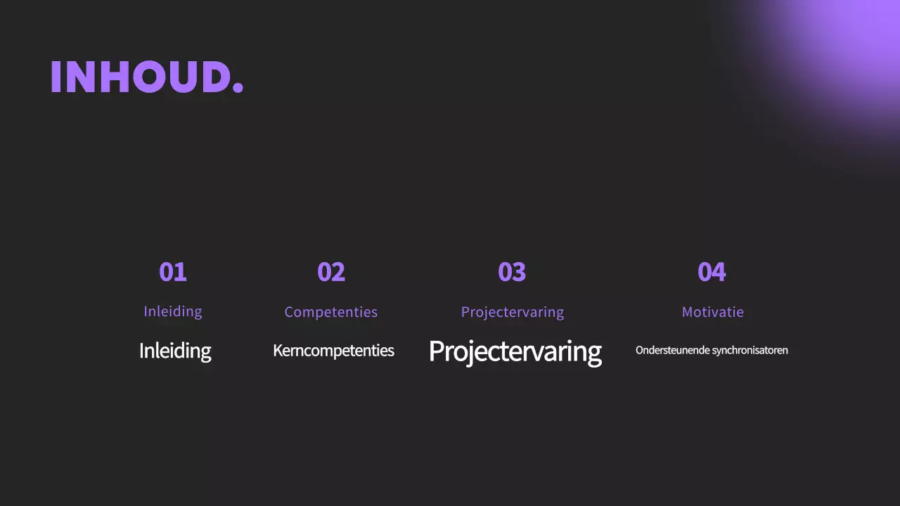 Maak kennis met de Mauve Minimalistische Portfolio