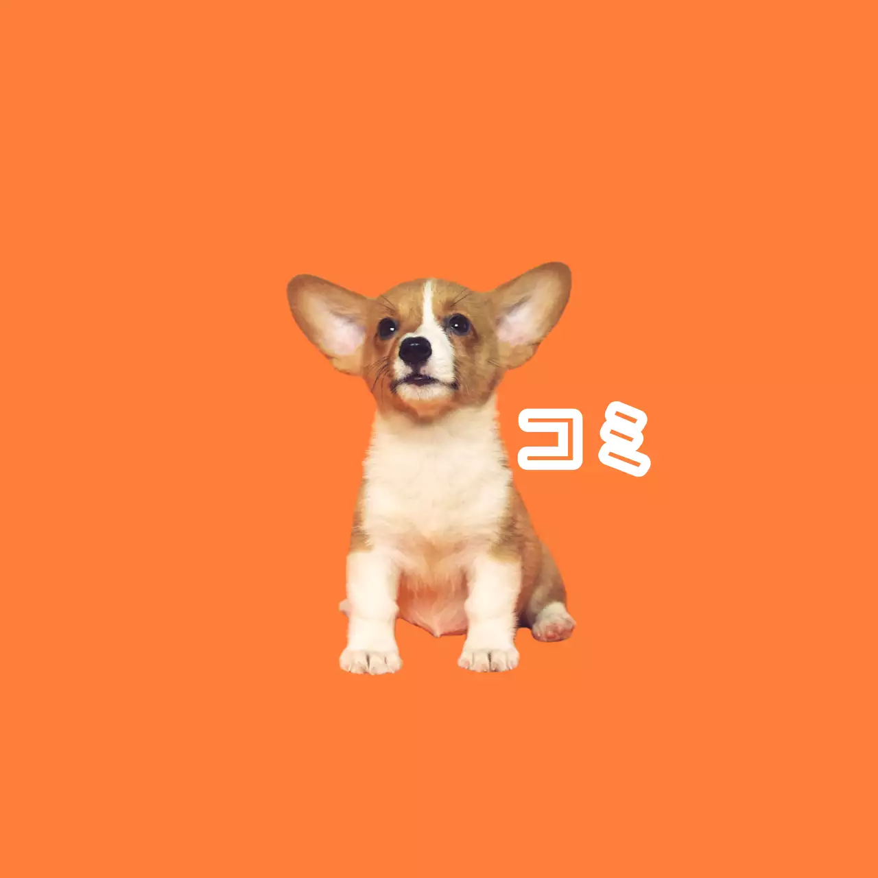 オレンジ色のかわいいペット