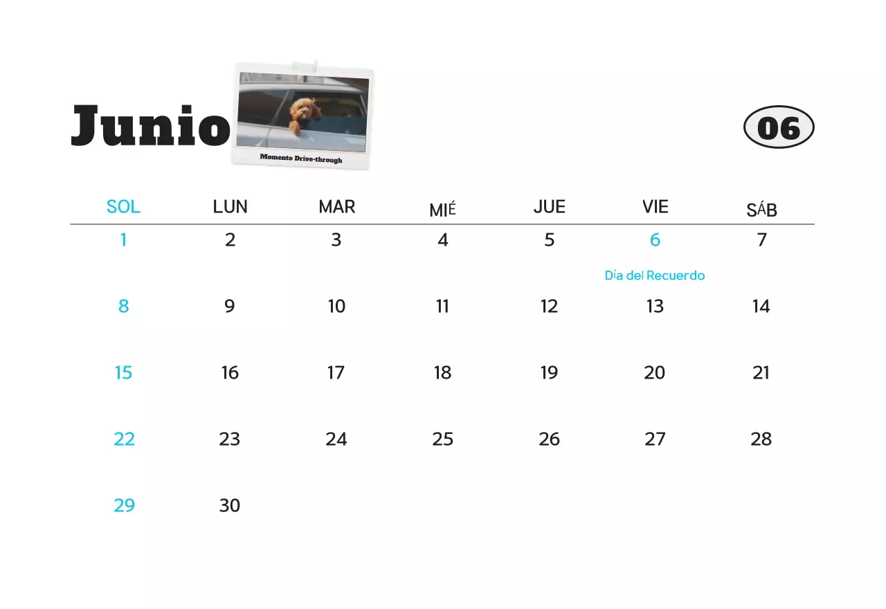 Calendario de fotos de mascotas blanco y limpio