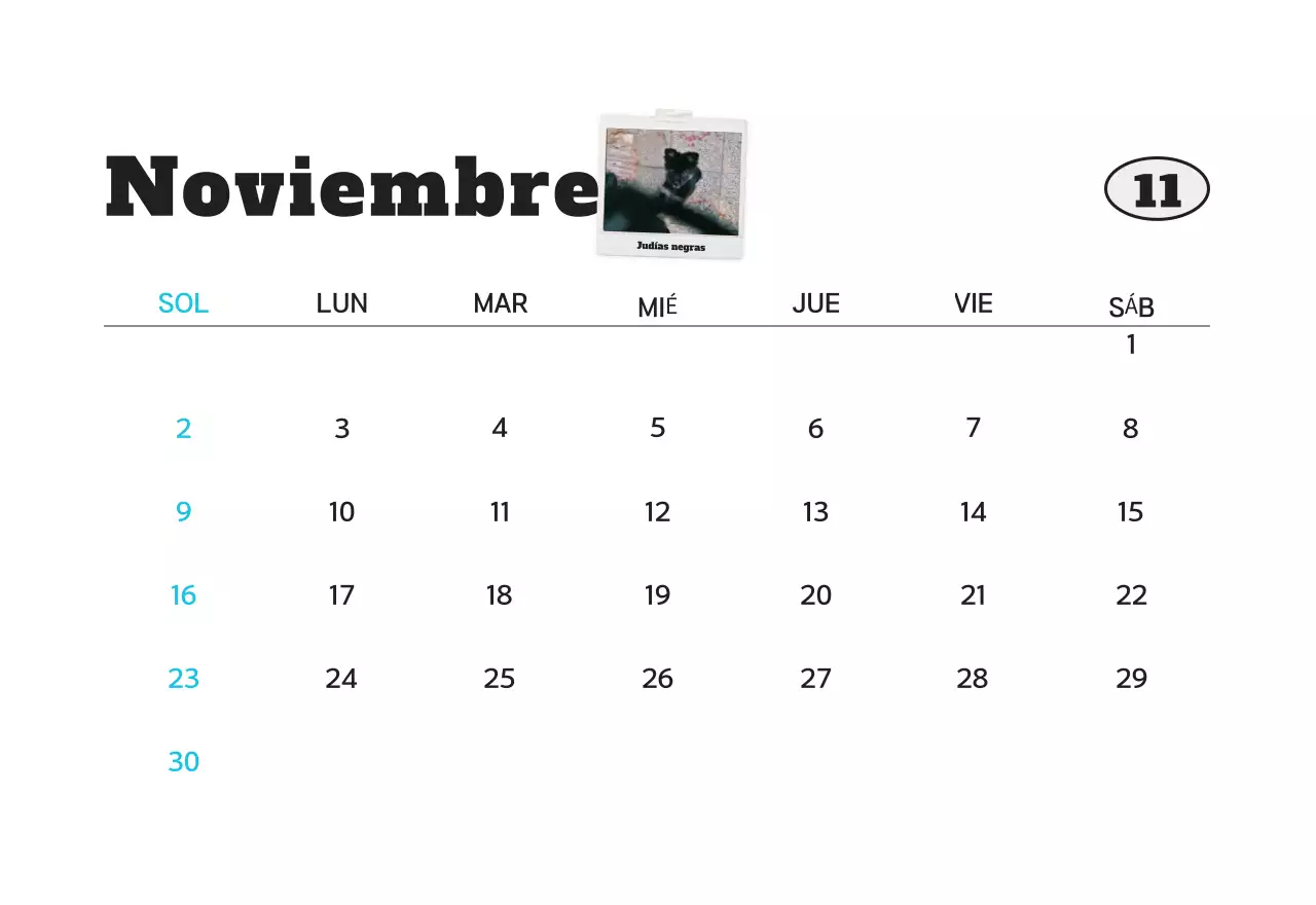 Calendario de fotos de mascotas blanco y limpio