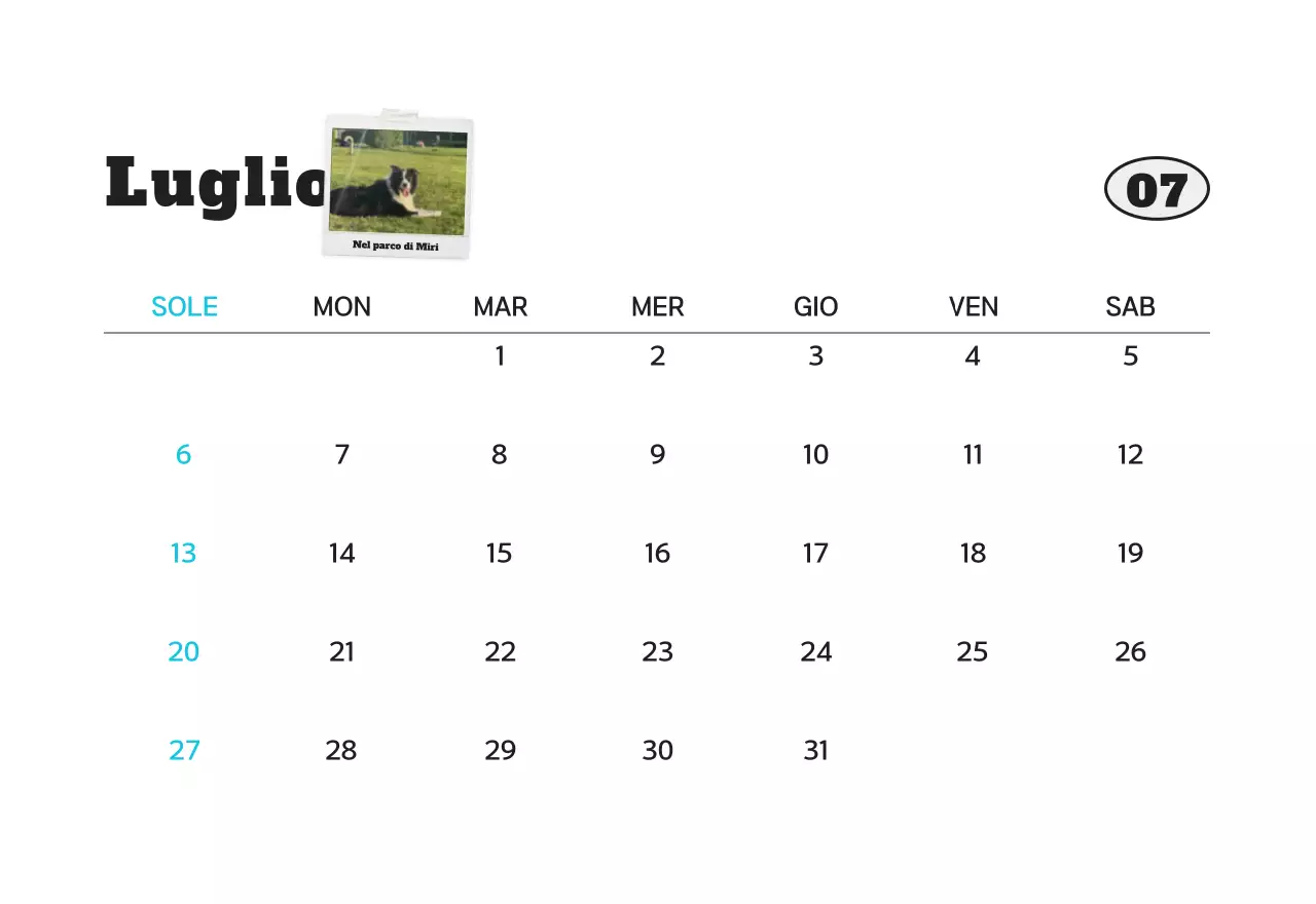 Calendario fotografico bianco per animali domestici puliti