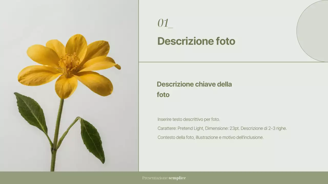 Documentazione di presentazione semplice Khaki
