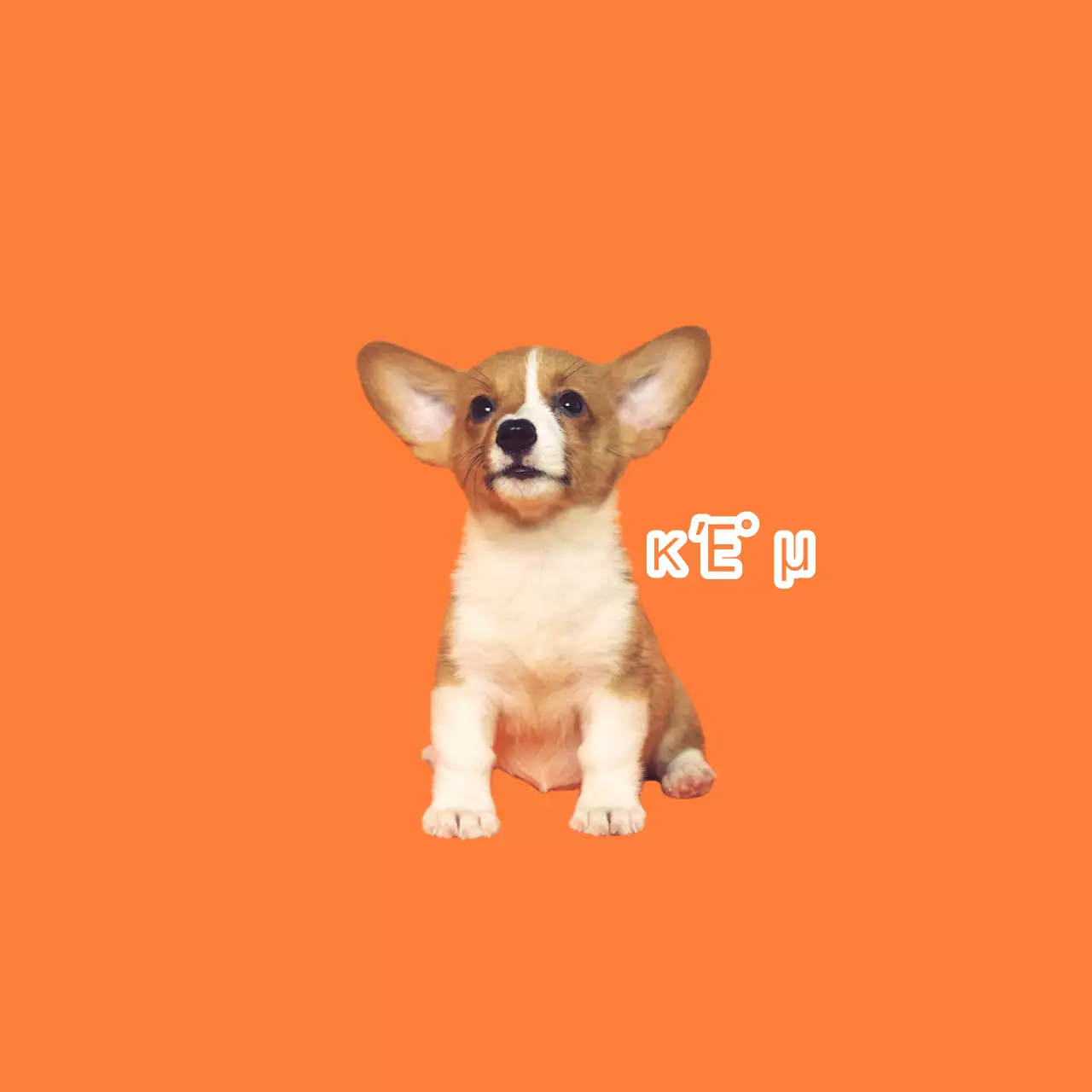 Animal de estimação giro laranja