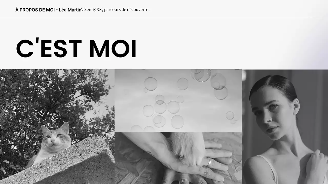 portefeuille de présentation moderne gris blanc