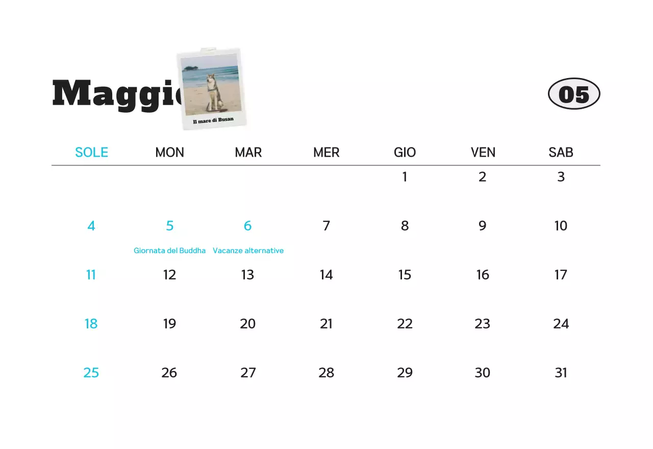 Calendario fotografico bianco per animali domestici puliti