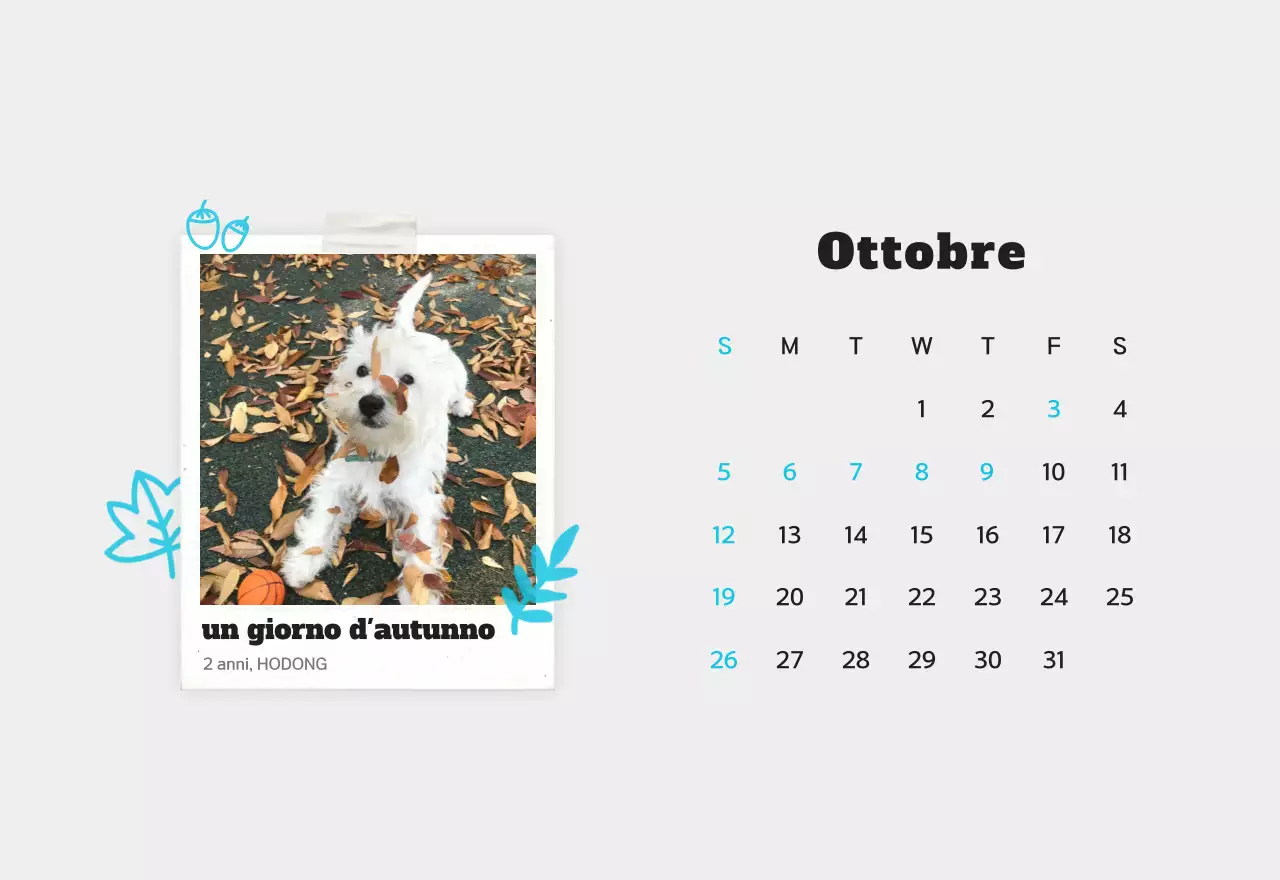 Calendario fotografico bianco per animali domestici puliti