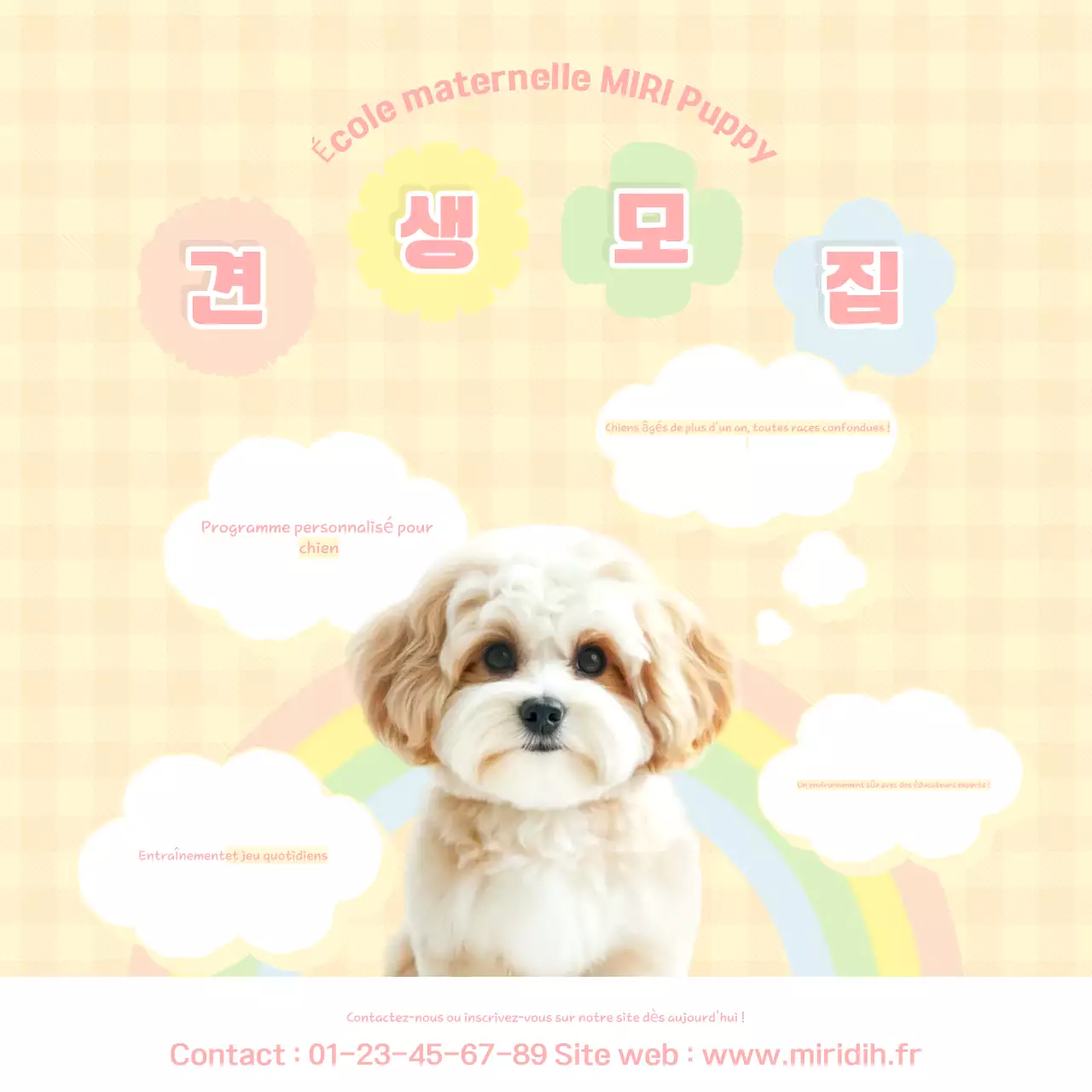 Phrases jaunes sur les chiots