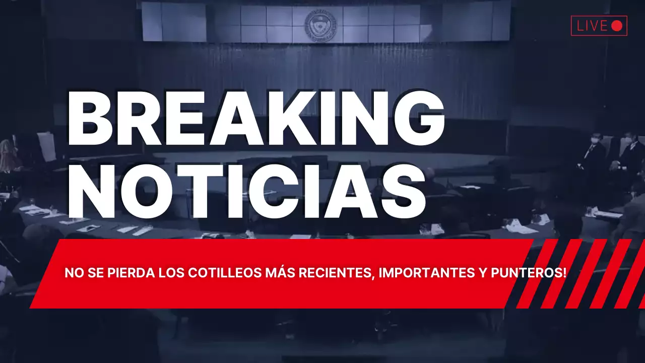 red bold news anuncio