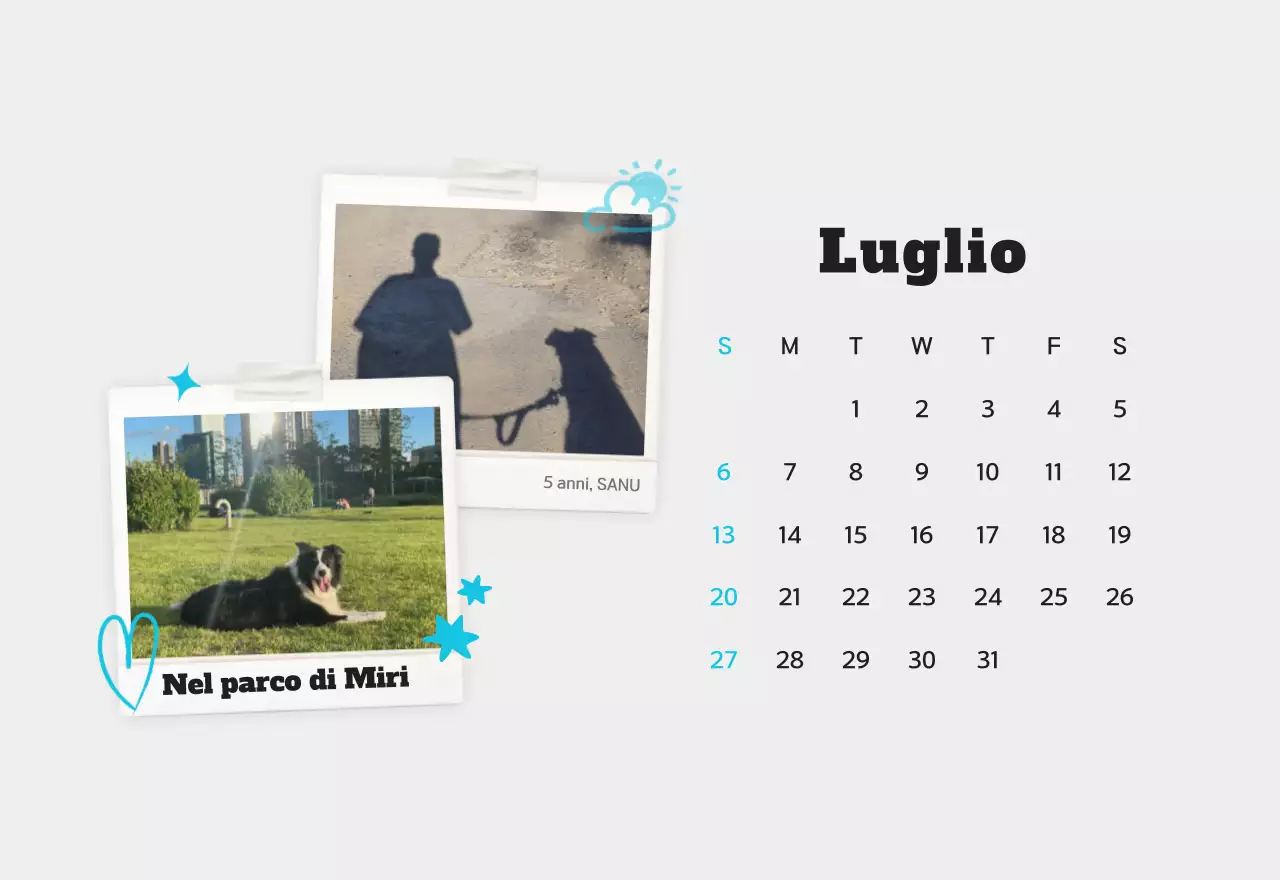 Calendario fotografico bianco per animali domestici puliti