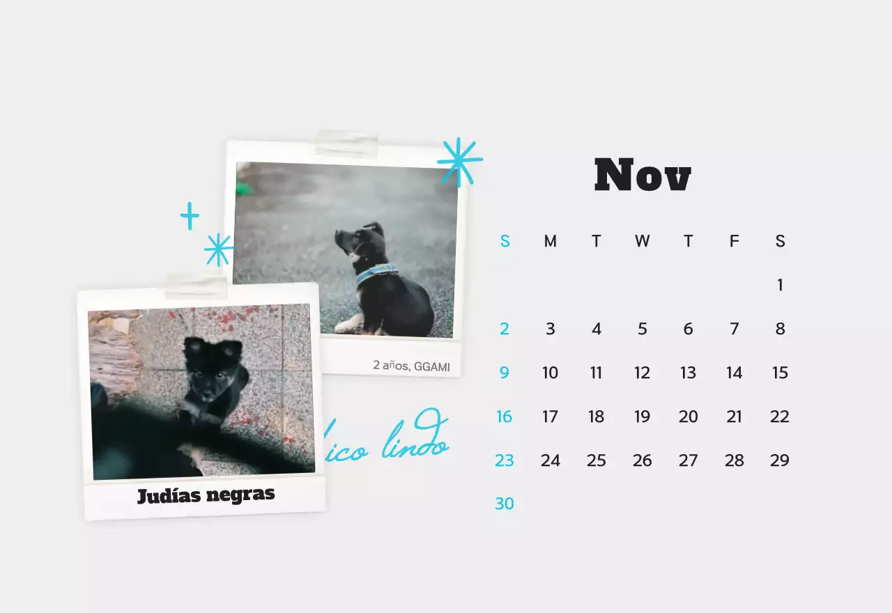 Calendario de fotos de mascotas blanco y limpio
