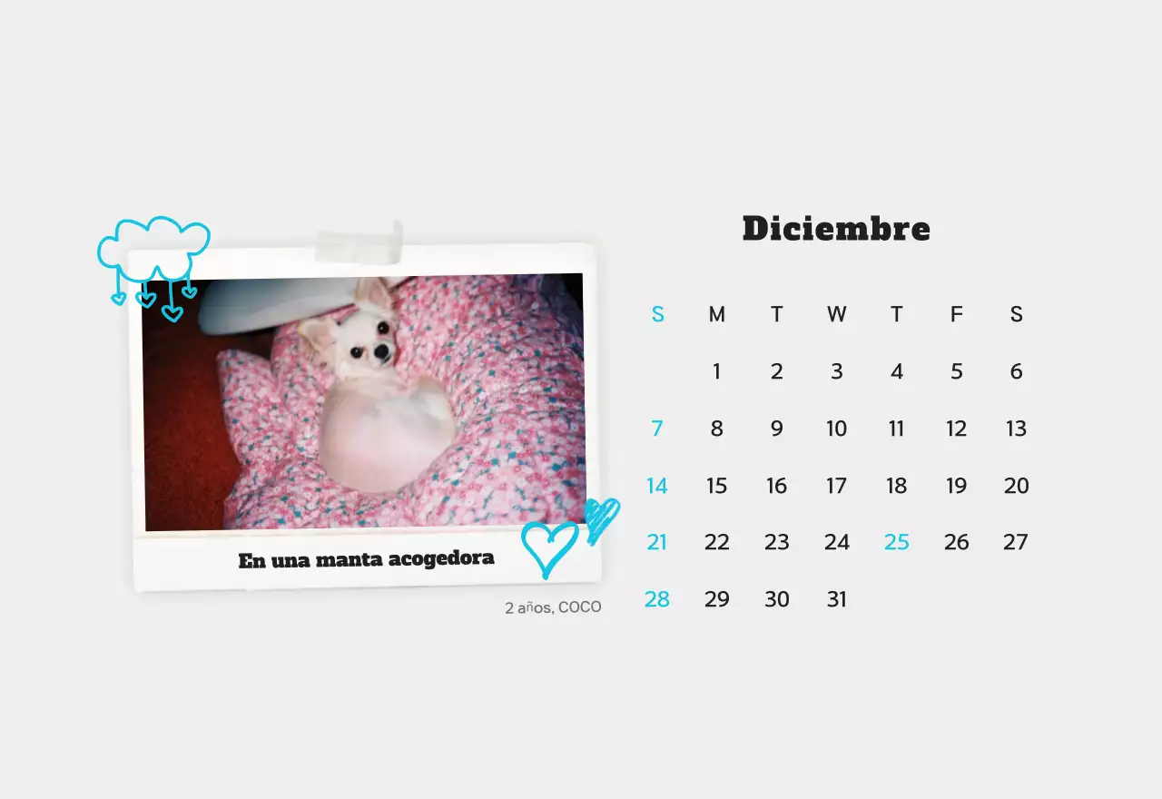 Calendario de fotos de mascotas blanco y limpio