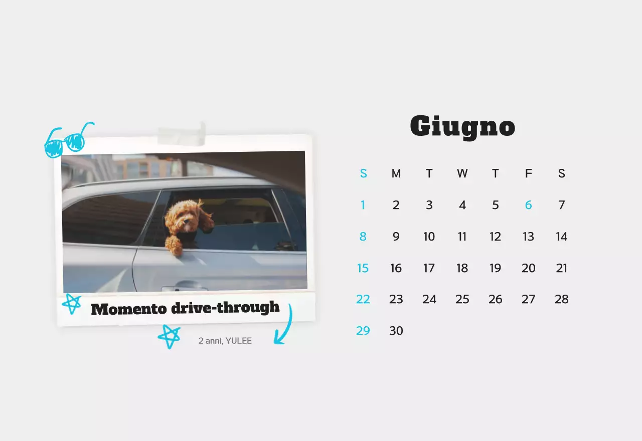 Calendario fotografico bianco per animali domestici puliti