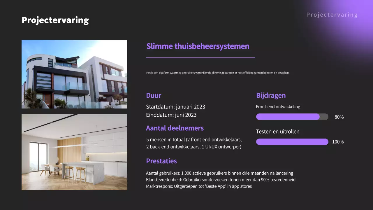 Maak kennis met de Mauve Minimalistische Portfolio