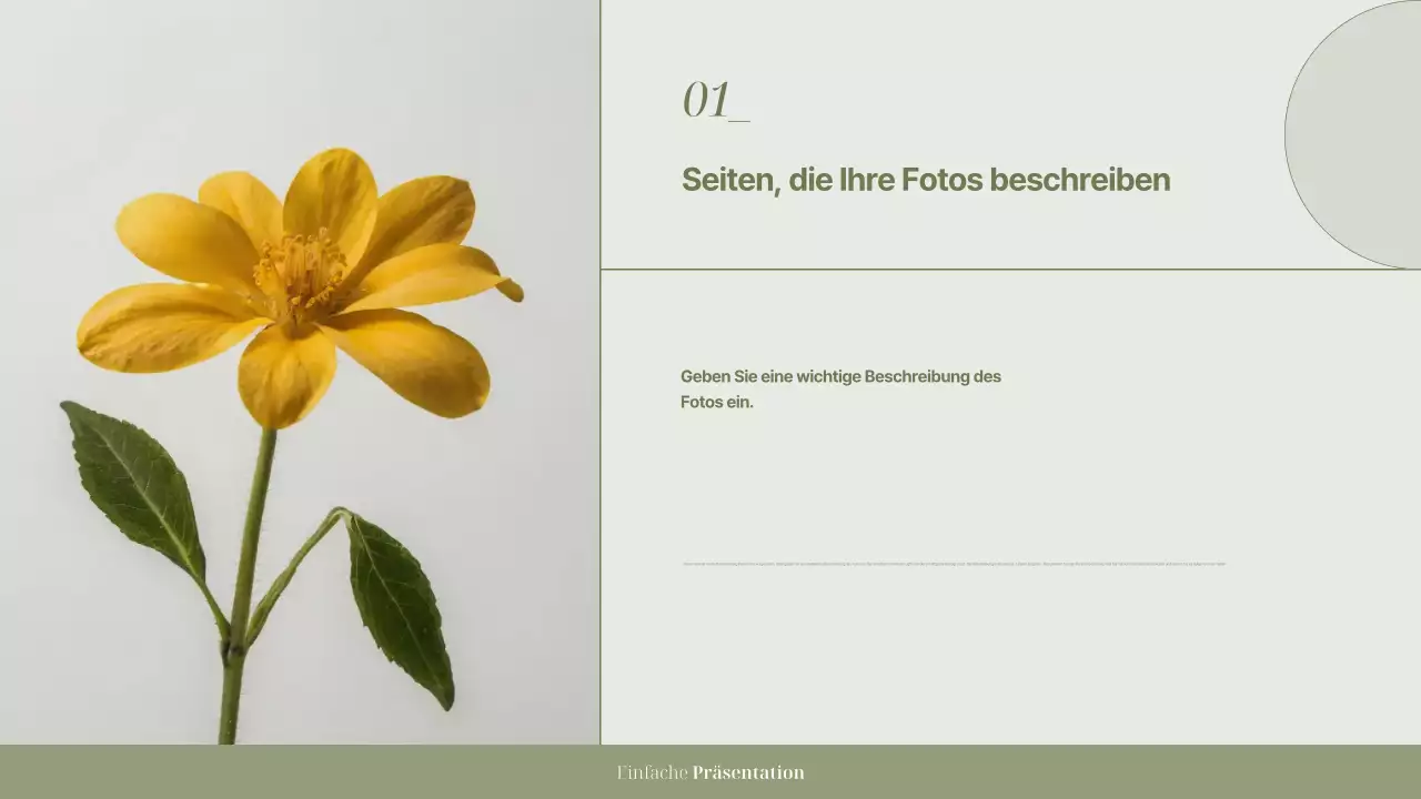 Khaki Einfache Präsentation Dokumentation