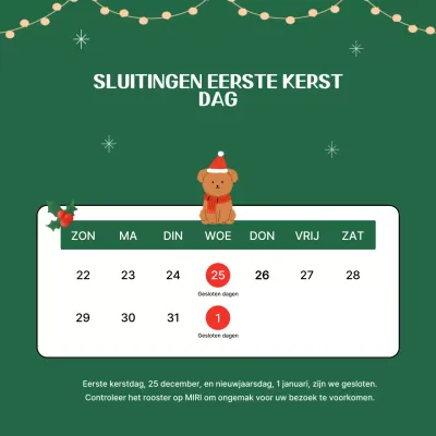 Groene eenvoudige vakantiegids