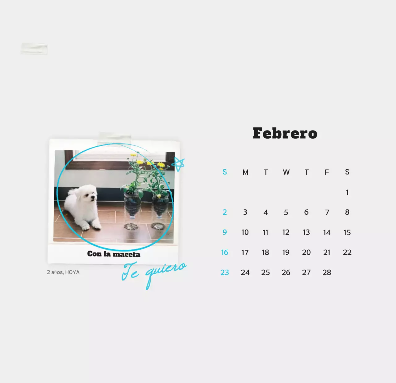 Calendario de fotos de mascotas blanco y limpio