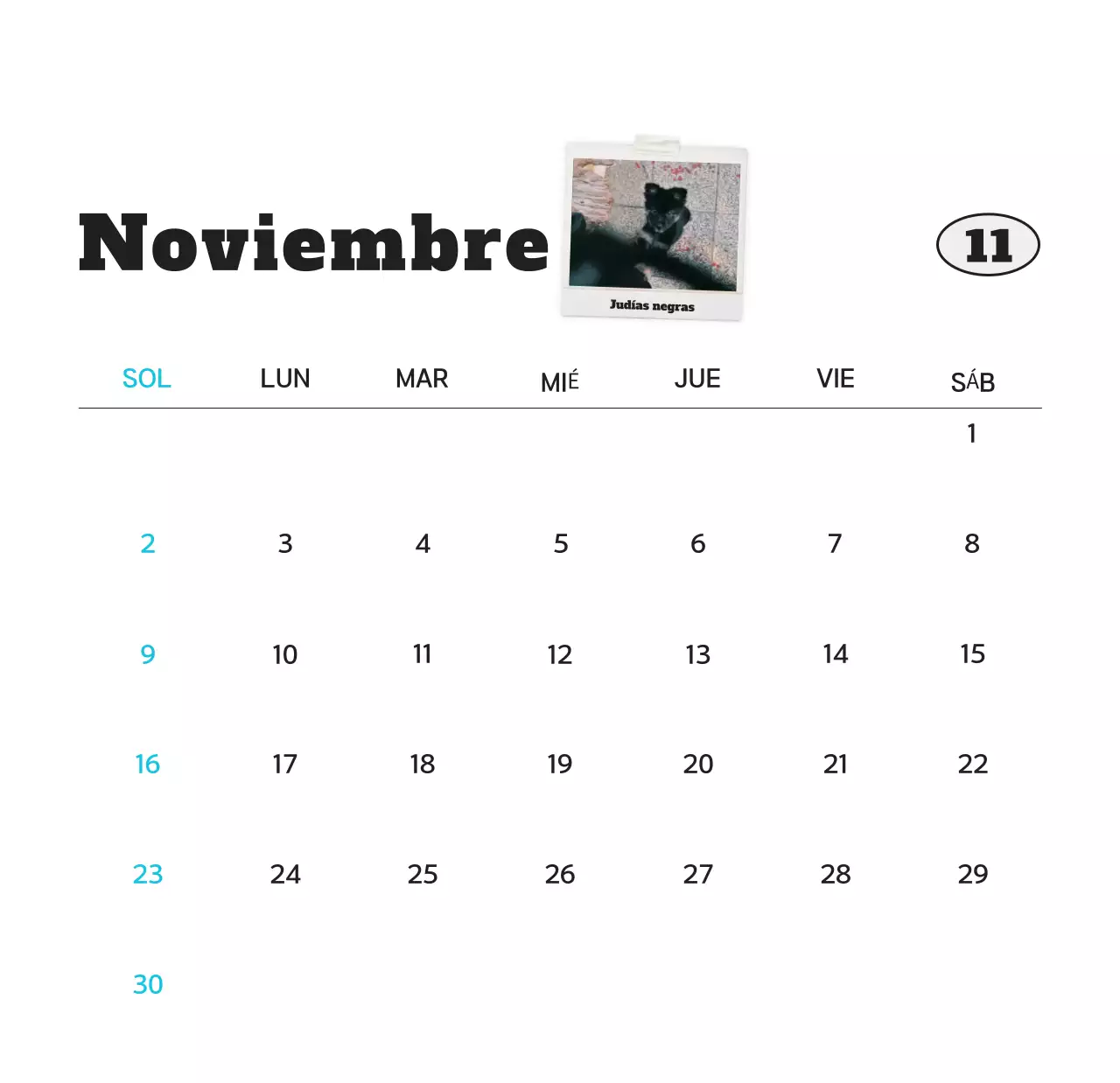 Calendario de fotos de mascotas blanco y limpio