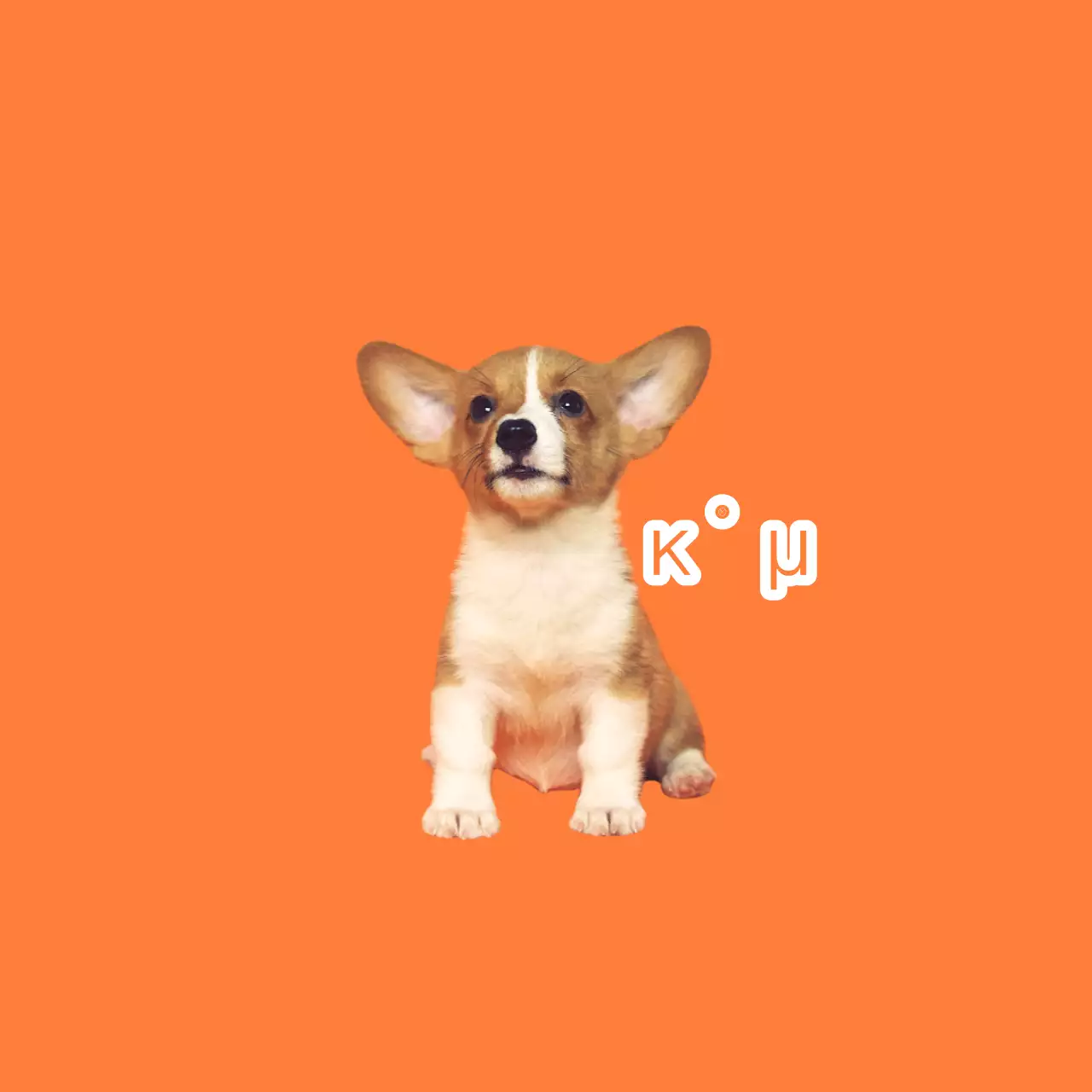 Oranje schattig huisdier