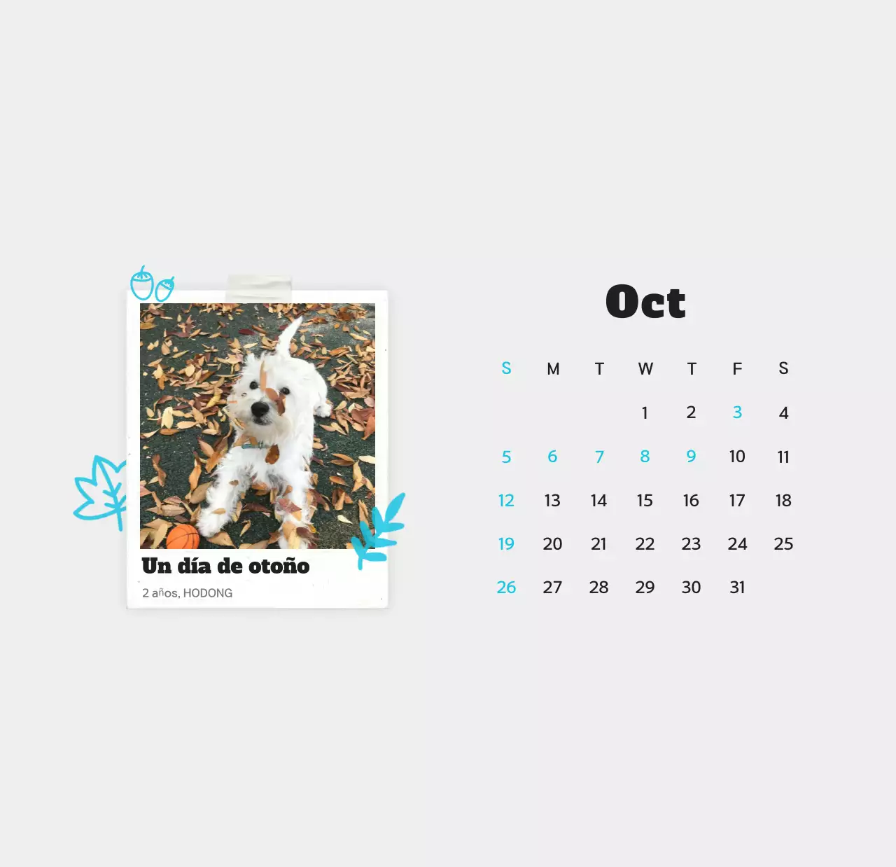 Calendario de fotos de mascotas blanco y limpio