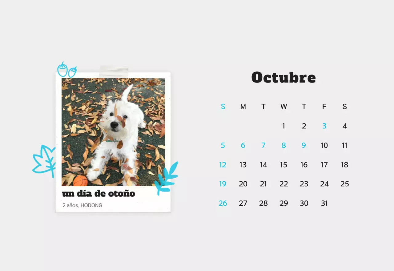 Calendario de fotos de mascotas blanco y limpio
