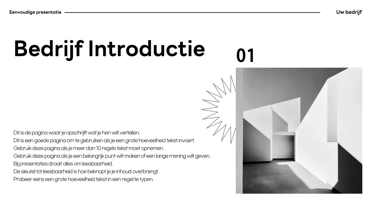 Zwart-wit minimalistische presentatiedocumentatie