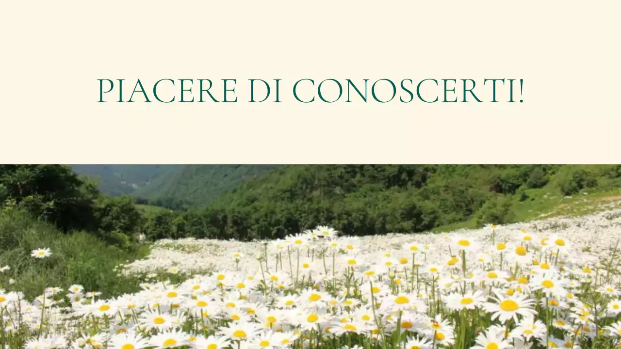 portafoglio di stile di vita elegante beige