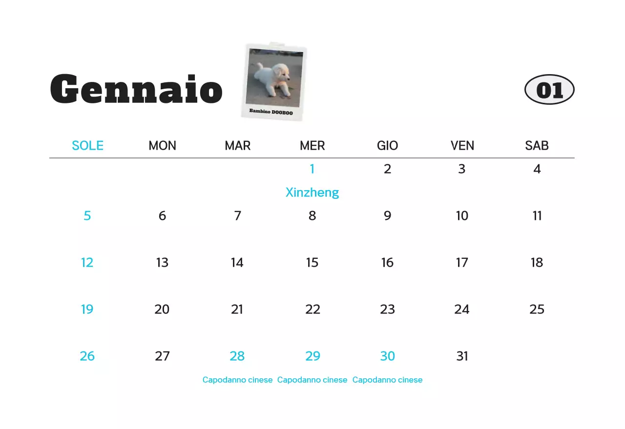 Calendario fotografico bianco per animali domestici puliti