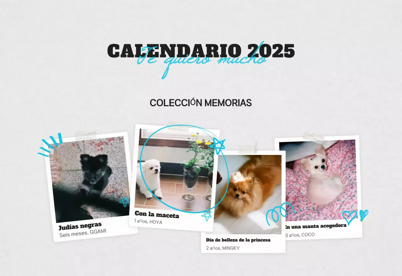 Calendario de fotos de mascotas blanco y limpio