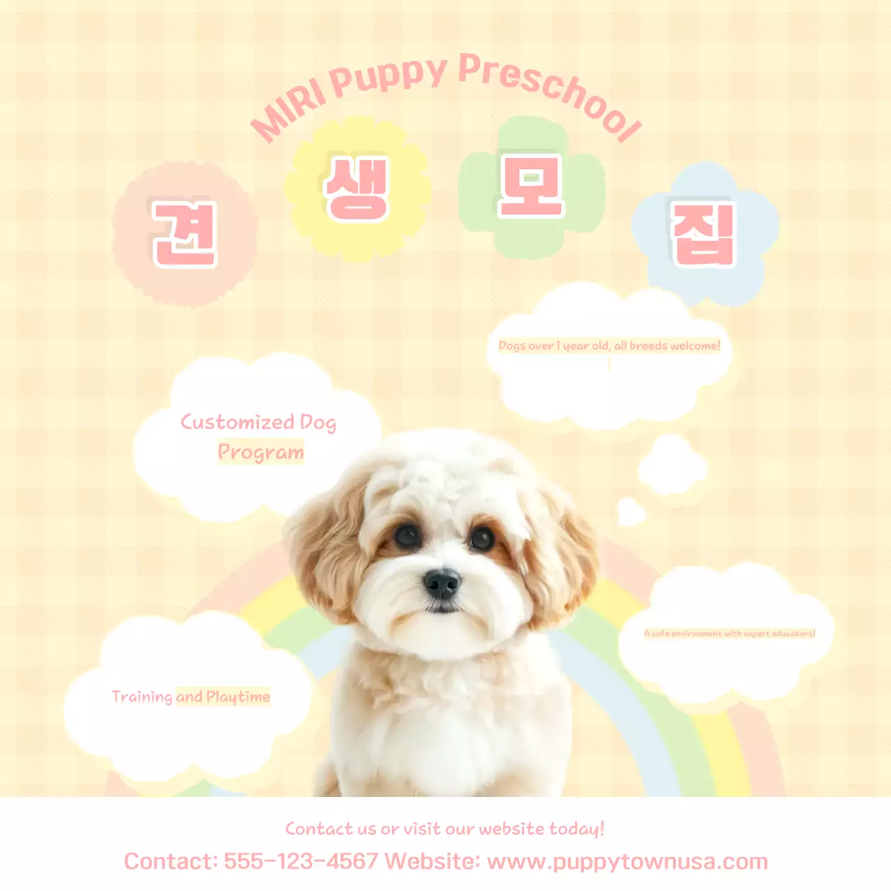 Beige Cute Puppy Training Guide Instagram Carousel