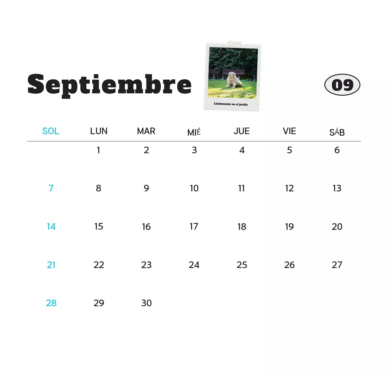 Calendario de fotos de mascotas blanco y limpio
