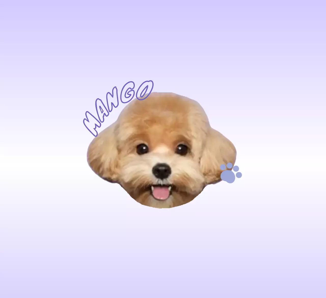 연보라 심플 반려동물