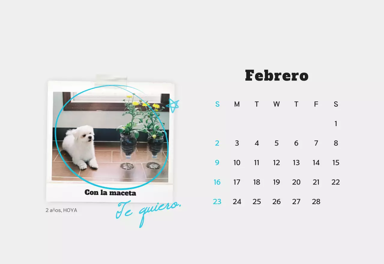Calendario de fotos de mascotas blanco y limpio