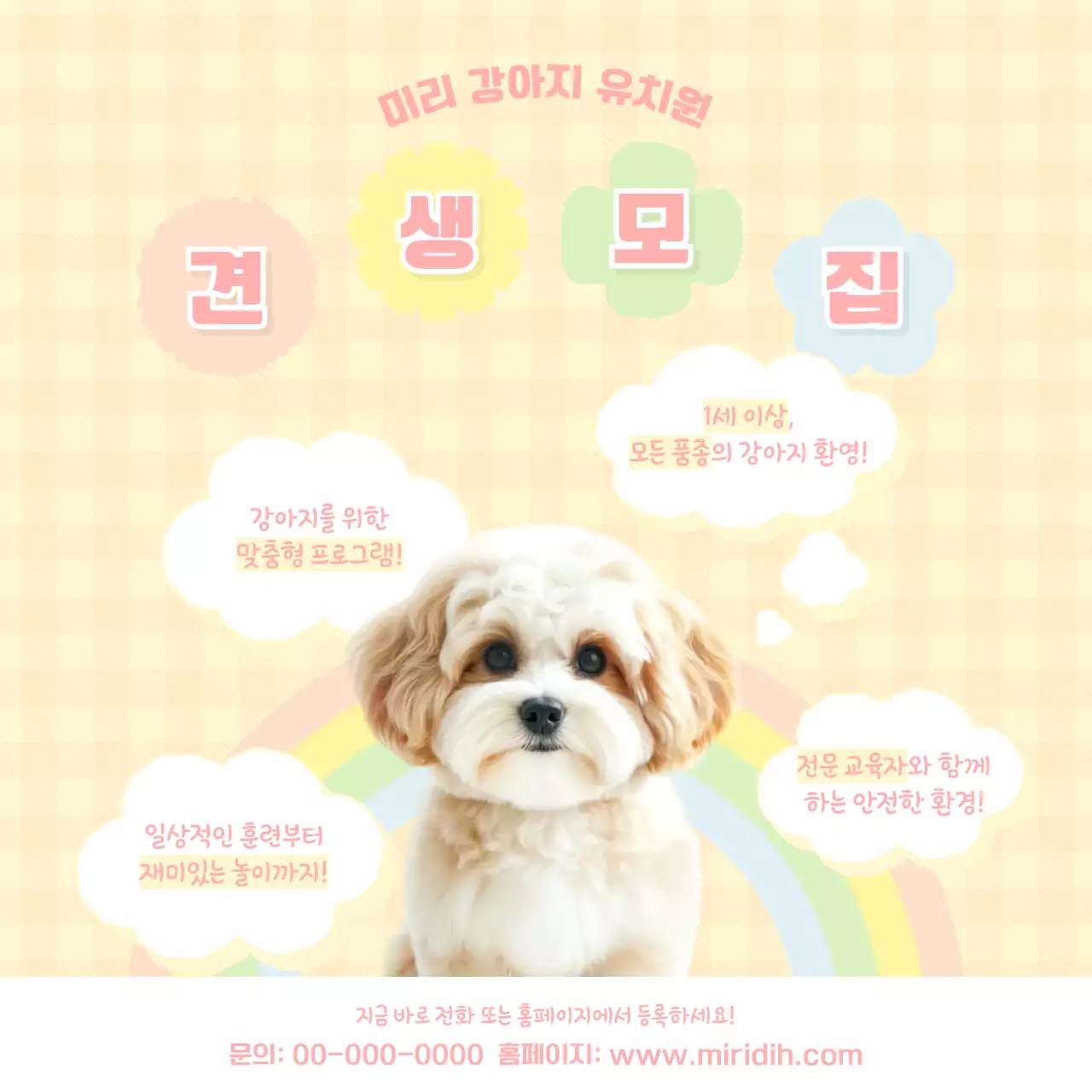 노랑 아기자기한 강아지 문구