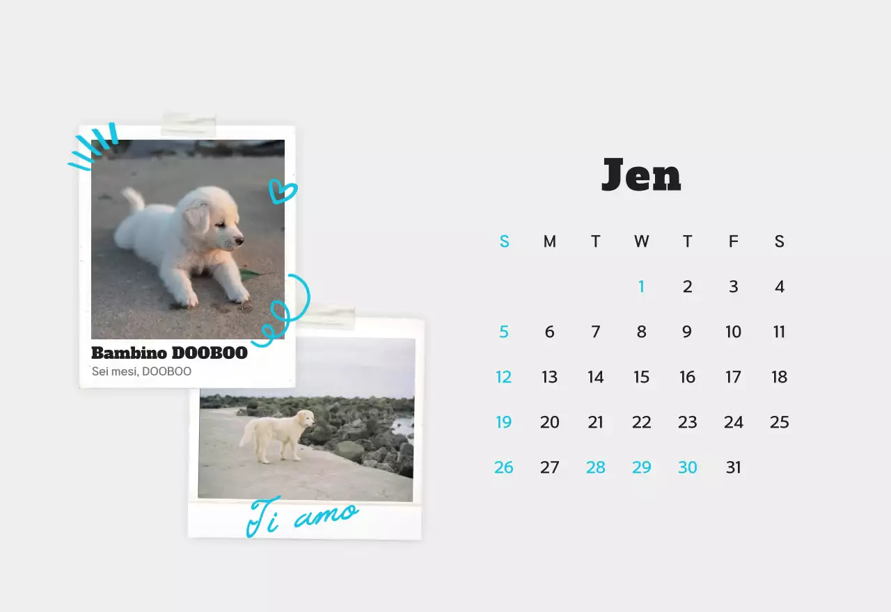Calendario fotografico bianco per animali domestici puliti