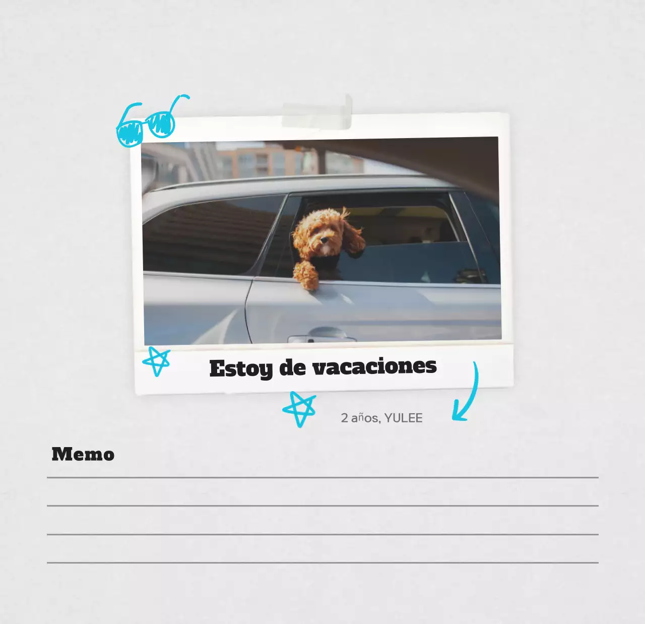 Calendario de fotos de mascotas blanco y limpio