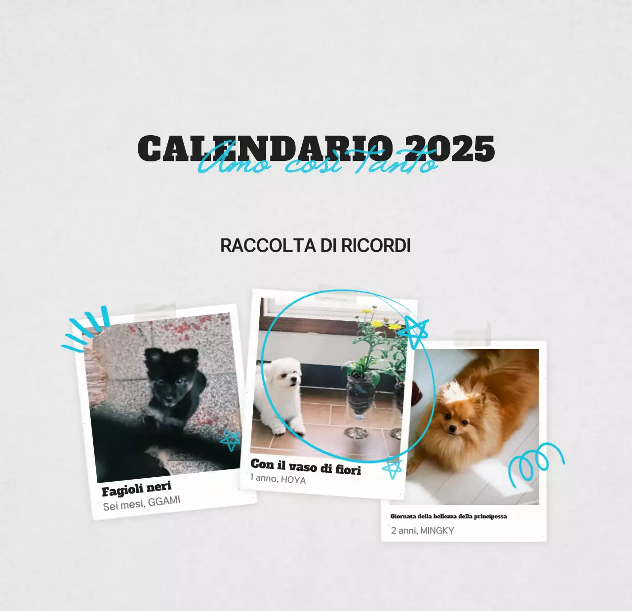 Calendario fotografico bianco per animali domestici puliti