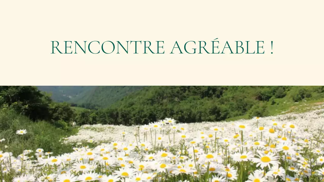 portefeuille de style de vie beige et élégant