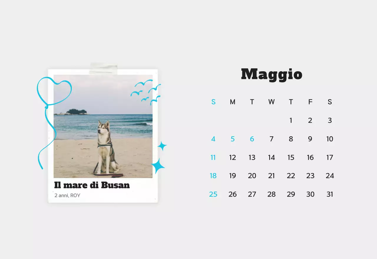 Calendario fotografico bianco per animali domestici puliti