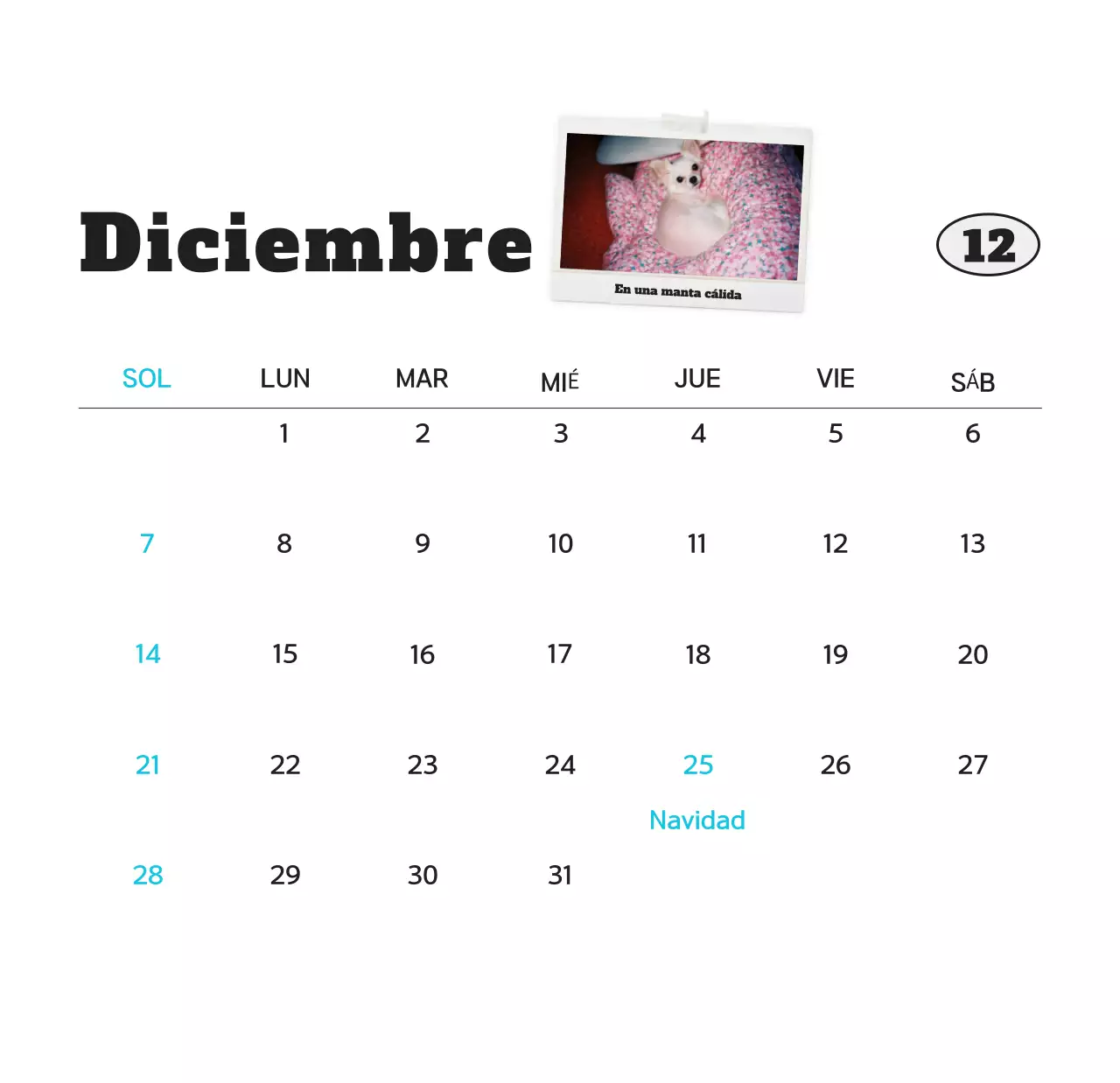 Calendario de fotos de mascotas blanco y limpio