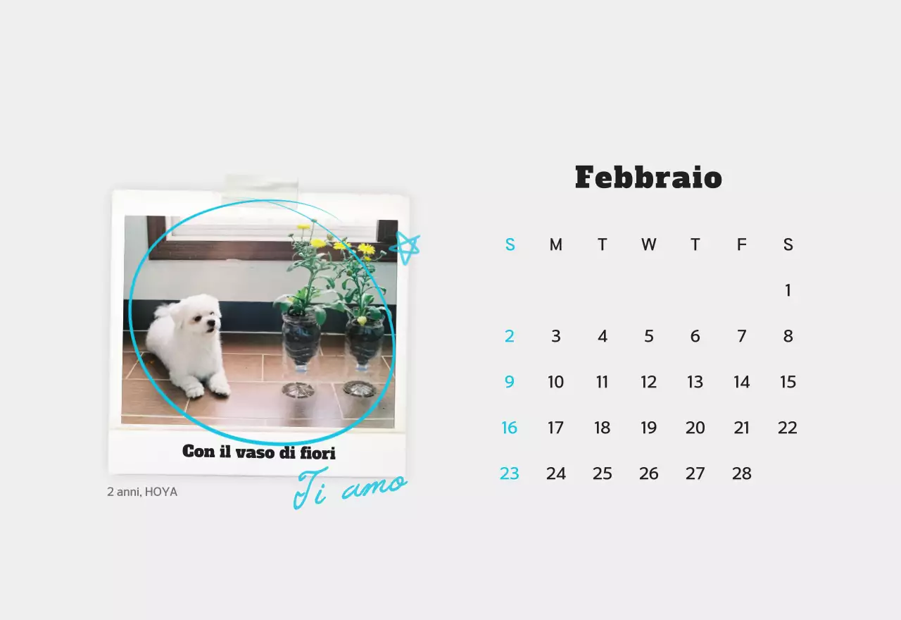 Calendario fotografico bianco per animali domestici puliti