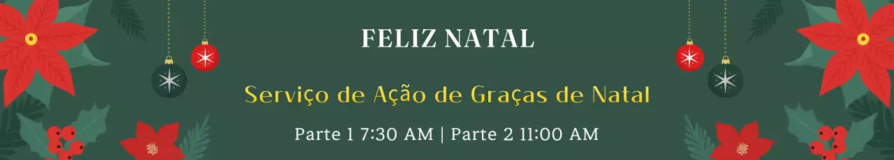 Resumo Guia avançado do serviço de Natal