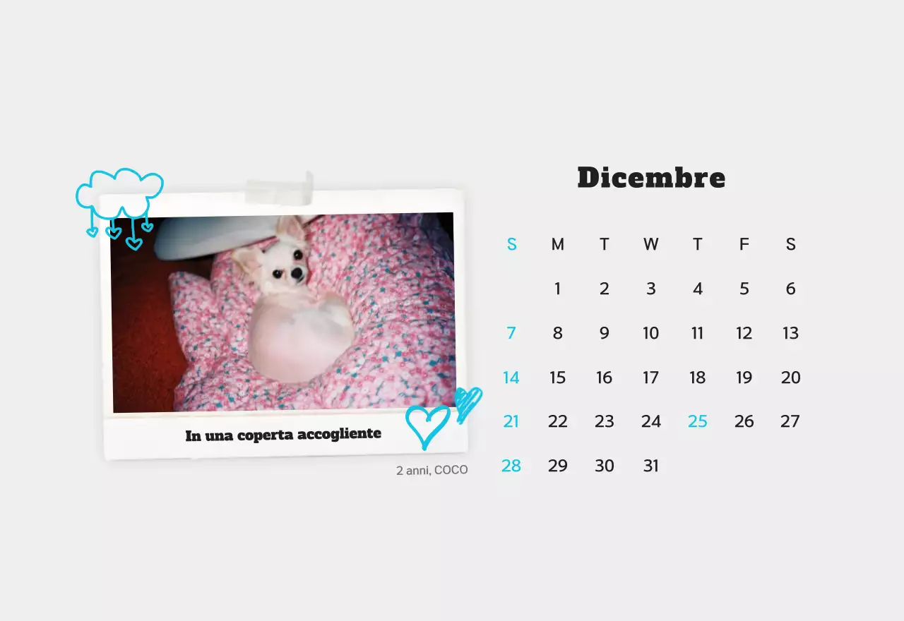 Calendario fotografico bianco per animali domestici puliti