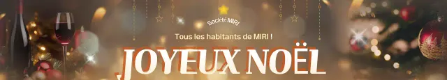 Célébrations de Noël modernes et brunes