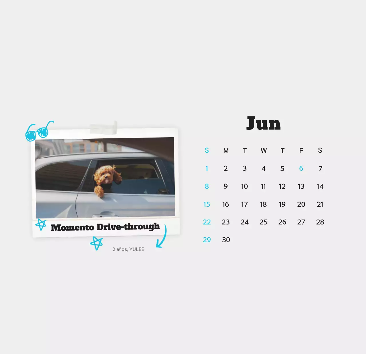 Calendario de fotos de mascotas blanco y limpio