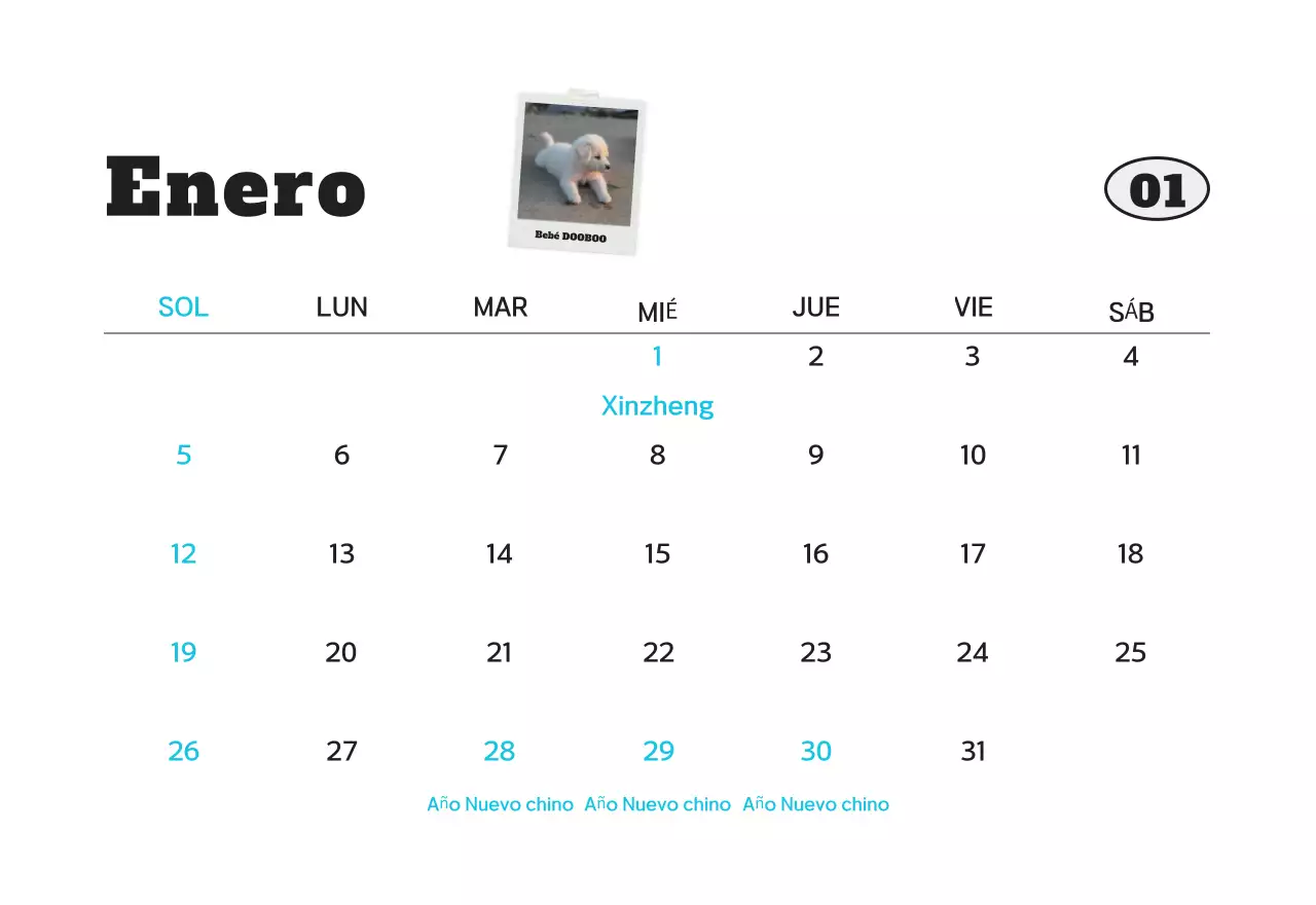 Calendario de fotos de mascotas blanco y limpio