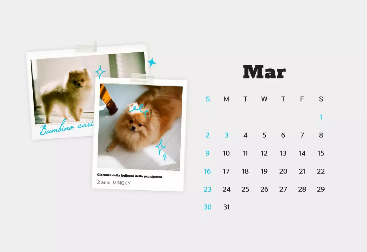 Calendario fotografico bianco per animali domestici puliti