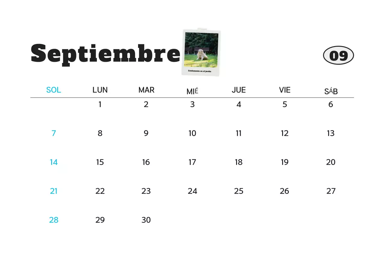 Calendario de fotos de mascotas blanco y limpio