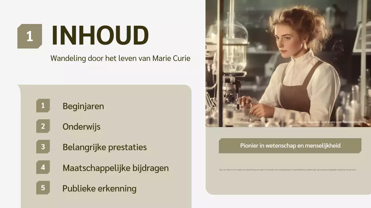 beige moderne geschiedenis biografie lezing